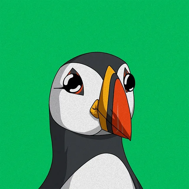 puffins